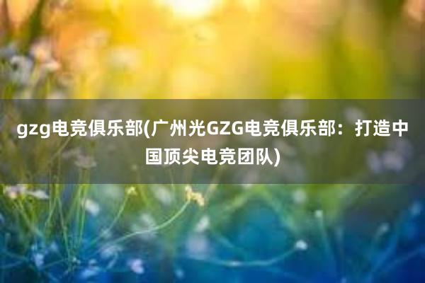 gzg电竞俱乐部(广州光GZG电竞俱乐部：打造中国顶尖电竞团队)