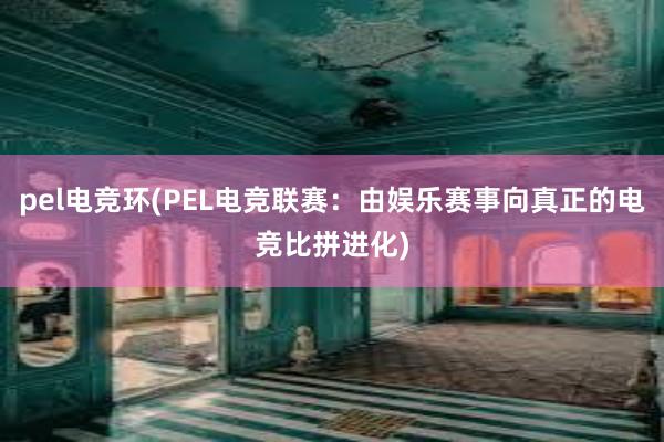 pel电竞环(PEL电竞联赛：由娱乐赛事向真正的电竞比拼进化)