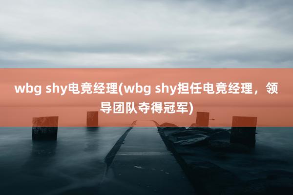 wbg shy电竞经理(wbg shy担任电竞经理，领导团队夺得冠军)