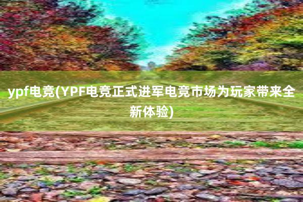 ypf电竞(YPF电竞正式进军电竞市场为玩家带来全新体验)