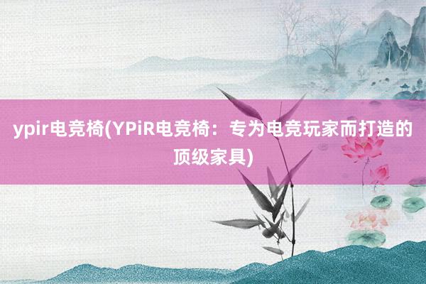 ypir电竞椅(YPiR电竞椅：专为电竞玩家而打造的顶级家具)