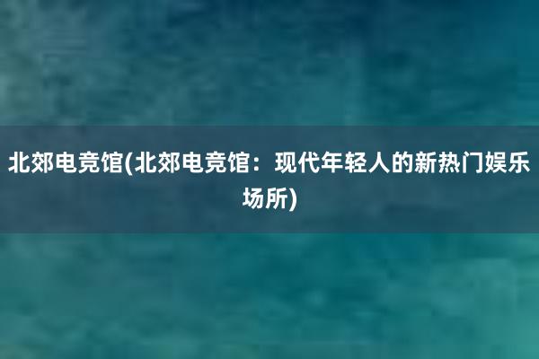 北郊电竞馆(北郊电竞馆：现代年轻人的新热门娱乐场所)