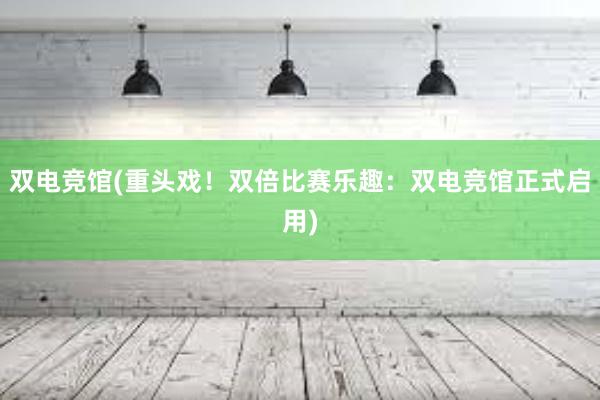 双电竞馆(重头戏！双倍比赛乐趣：双电竞馆正式启用)