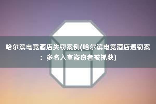 哈尔滨电竞酒店失窃案例(哈尔滨电竞酒店遭窃案：多名入室盗窃者被抓获)