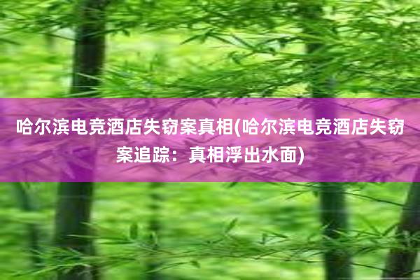 哈尔滨电竞酒店失窃案真相(哈尔滨电竞酒店失窃案追踪：真相浮出水面)