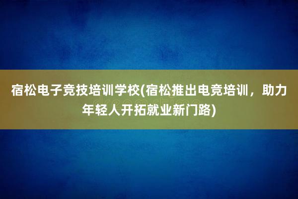 宿松电子竞技培训学校(宿松推出电竞培训，助力年轻人开拓就业新门路)