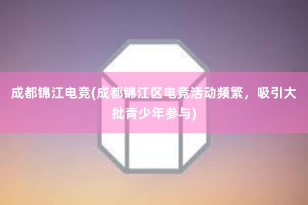 成都锦江电竞(成都锦江区电竞活动频繁，吸引大批青少年参与)