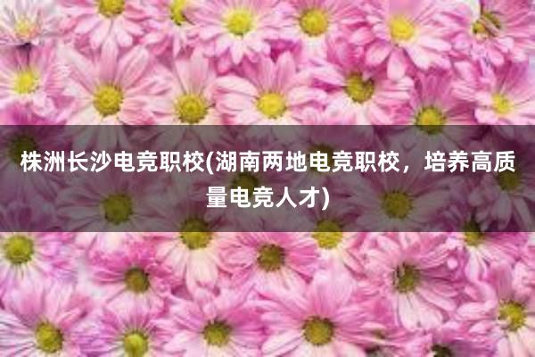 株洲长沙电竞职校(湖南两地电竞职校，培养高质量电竞人才)