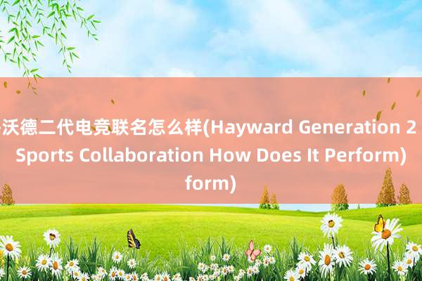 海沃德二代电竞联名怎么样(Hayward Generation 2 E-Sports Collaboration How Does It Perform)