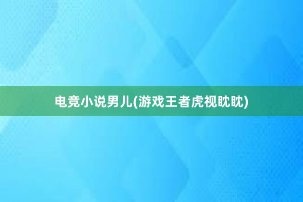 电竞小说男儿(游戏王者虎视眈眈)