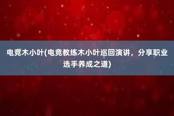 电竞木小叶(电竞教练木小叶巡回演讲，分享职业选手养成之道)