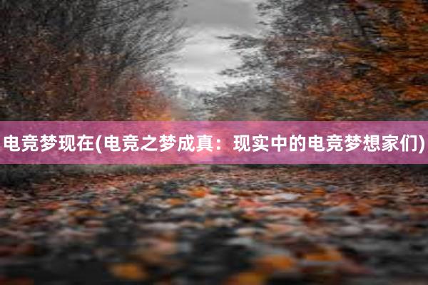 电竞梦现在(电竞之梦成真：现实中的电竞梦想家们)