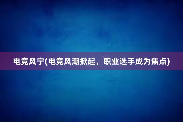 电竞风宁(电竞风潮掀起，职业选手成为焦点)