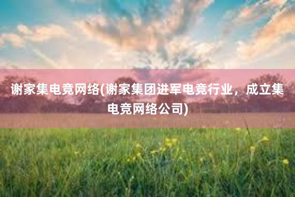 谢家集电竞网络(谢家集团进军电竞行业，成立集电竞网络公司)