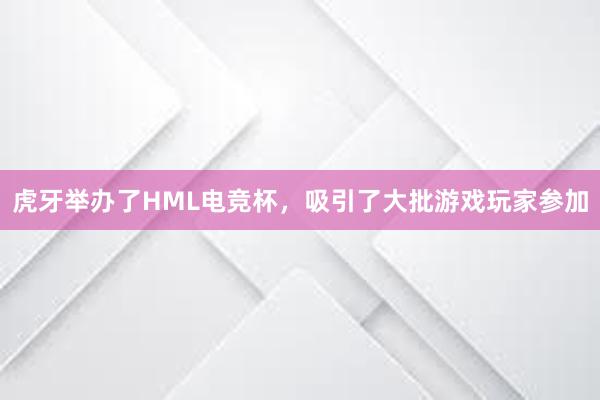 虎牙举办了HML电竞杯，吸引了大批游戏玩家参加