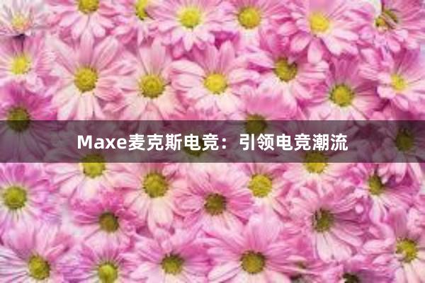 Maxe麦克斯电竞：引领电竞潮流