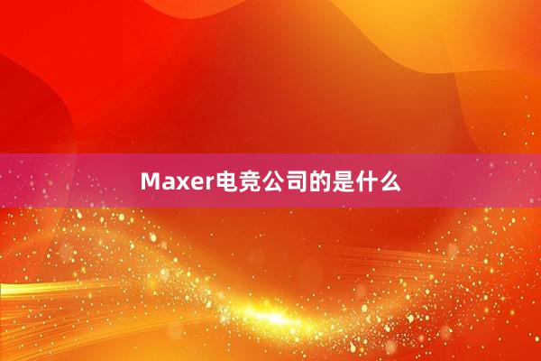 Maxer电竞公司的是什么