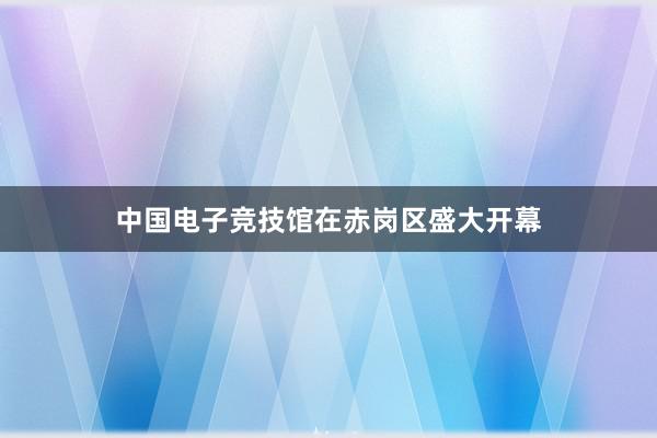 中国电子竞技馆在赤岗区盛大开幕