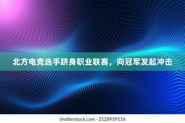 北方电竞选手跻身职业联赛，向冠军发起冲击