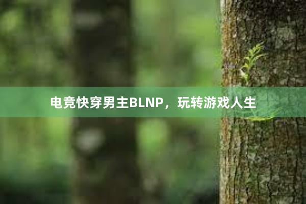 电竞快穿男主BLNP，玩转游戏人生