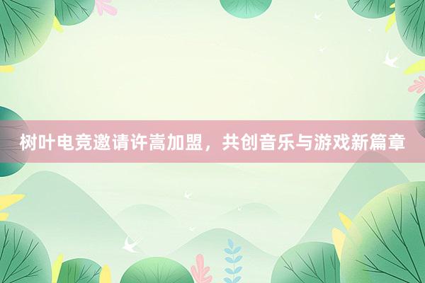 树叶电竞邀请许嵩加盟，共创音乐与游戏新篇章