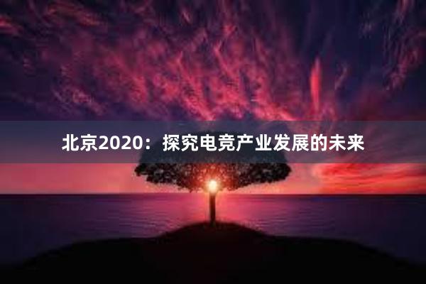 北京2020：探究电竞产业发展的未来