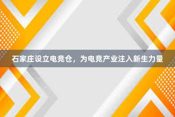 石家庄设立电竞仓，为电竞产业注入新生力量